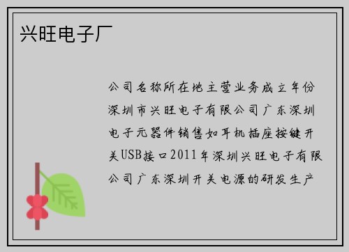 兴旺电子厂