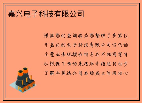 嘉兴电子科技有限公司